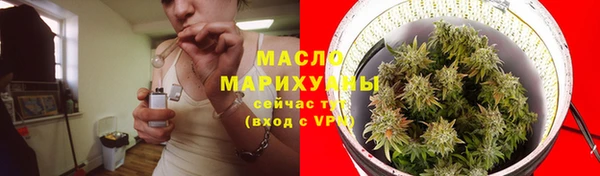 ECSTASY Богданович