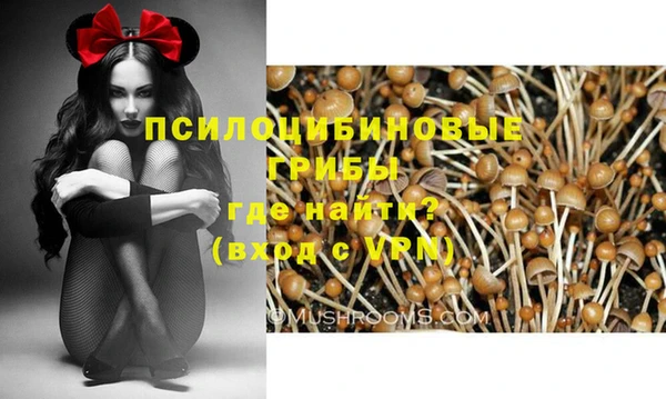 ECSTASY Богданович