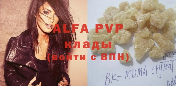 ECSTASY Богданович