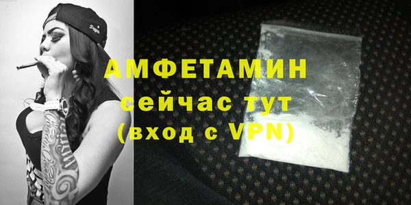 ECSTASY Богданович